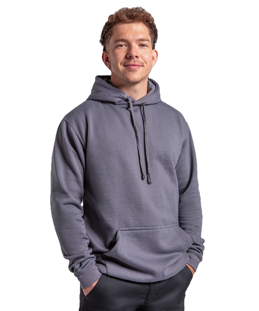 ProRTX - Hoody (bdl)